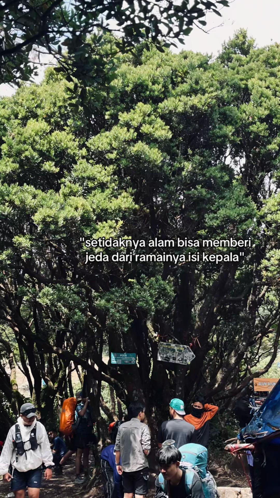 @Duuaenam