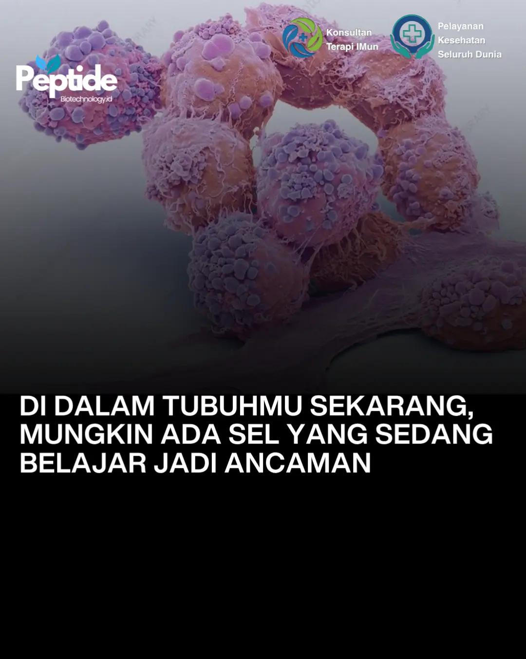 @Peptide Biotechnology.id