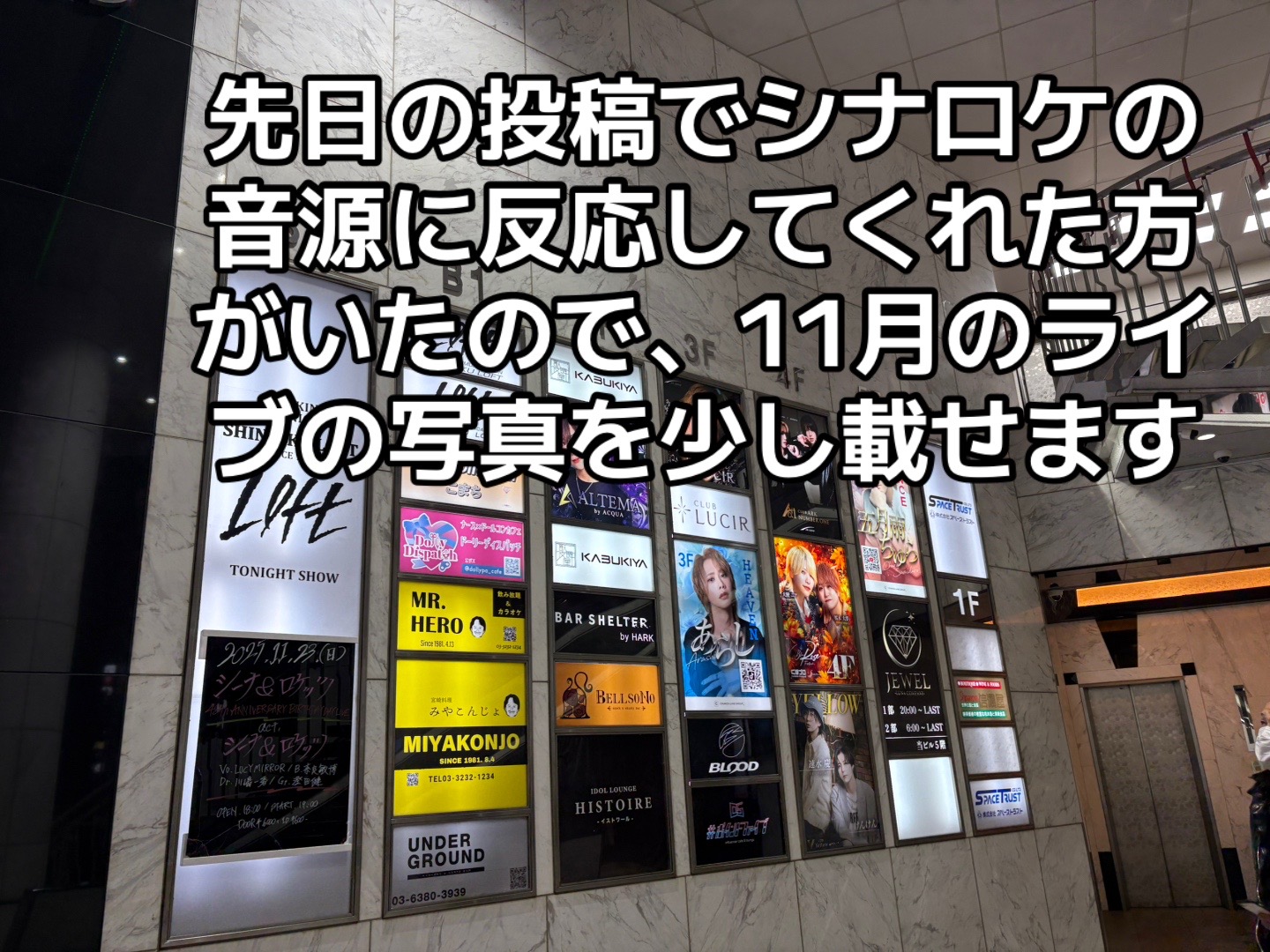 @雪国のシーナ