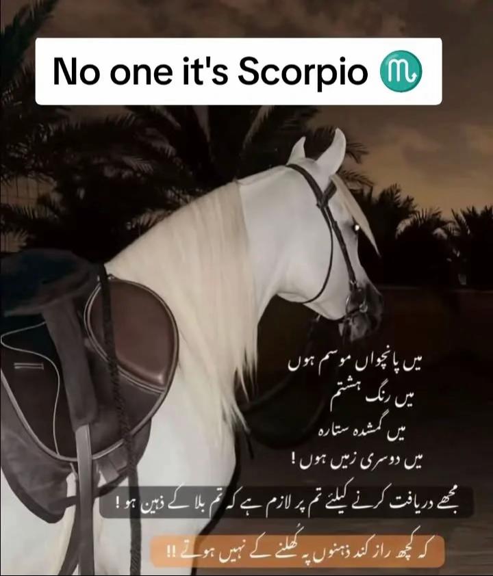 @Naeem Sindhu🍁 🇨🇦