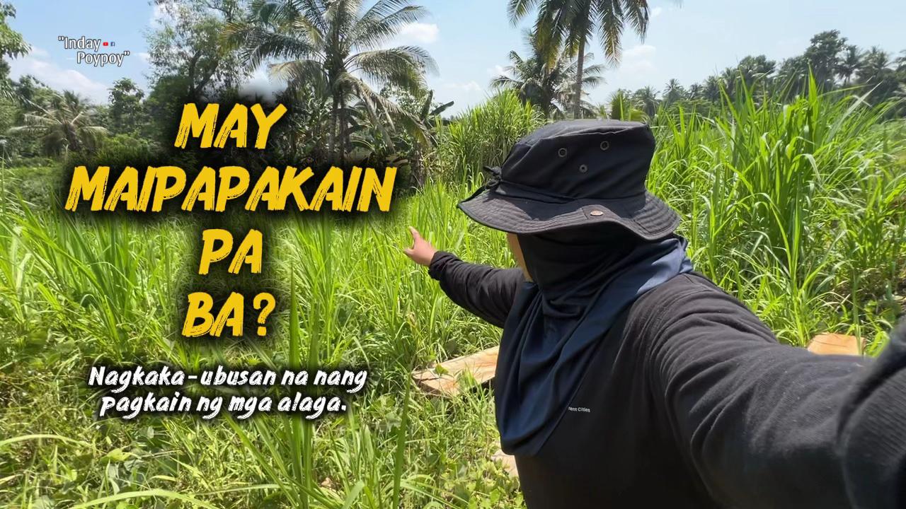 @indaypoypoy