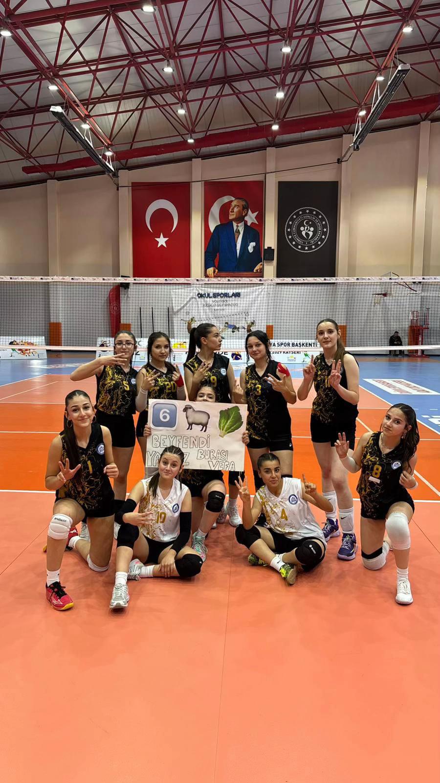 @vefaalvoleyboll