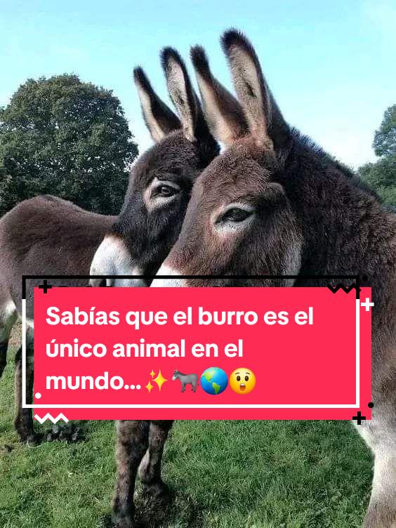 @Cutietips Karla