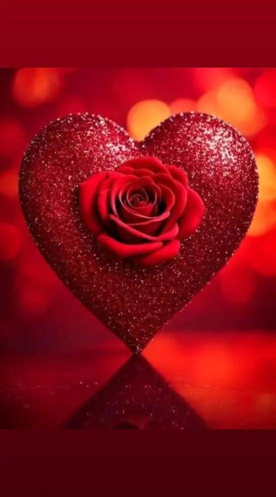 @Abdrahim Khaldi