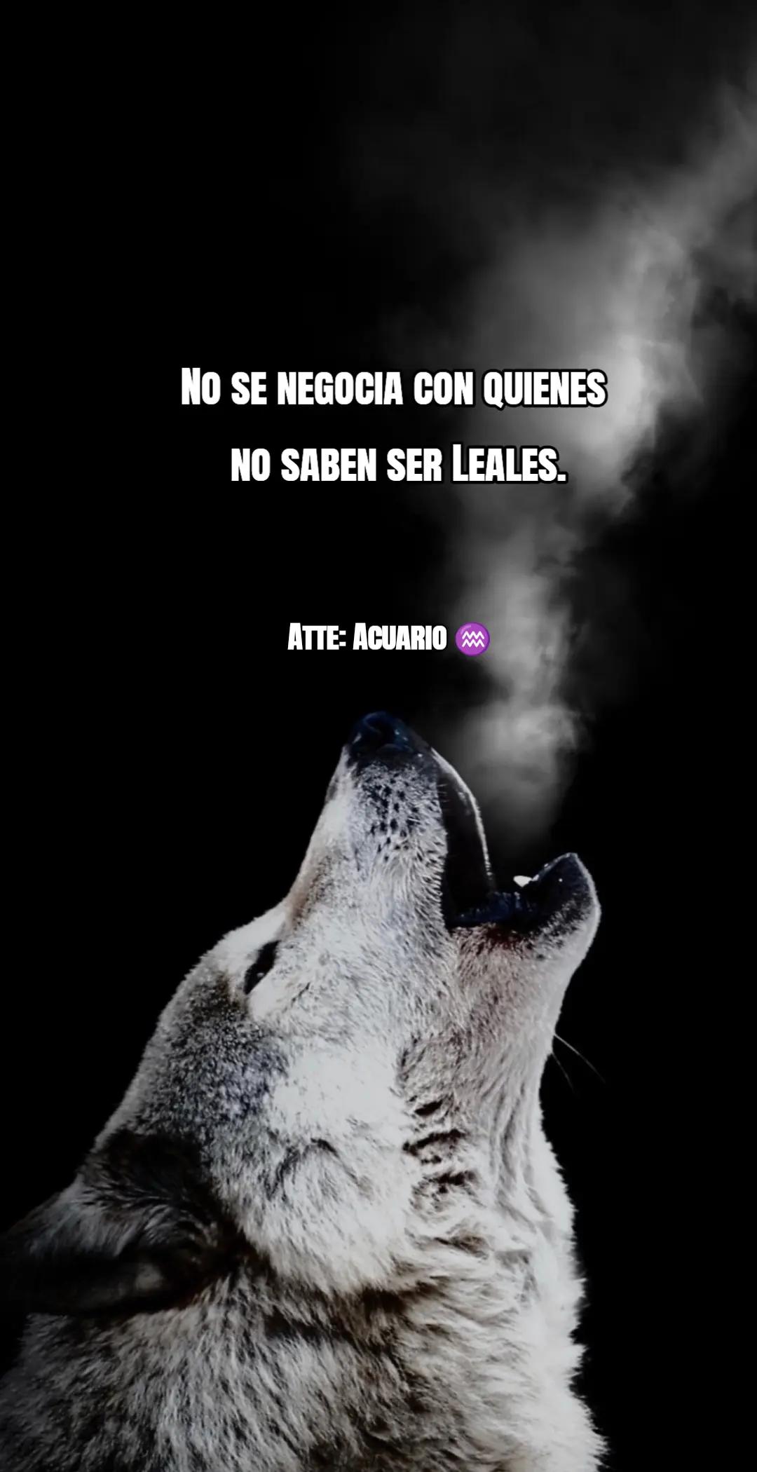 @QullaquitaDelia