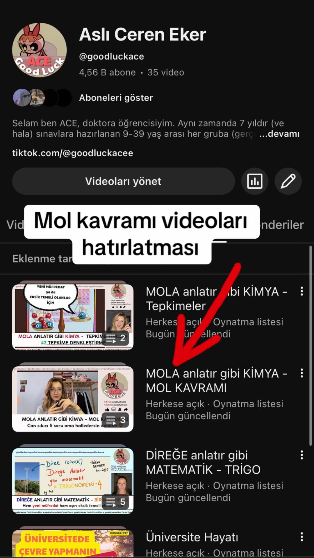 @Aslı Ceren Eker