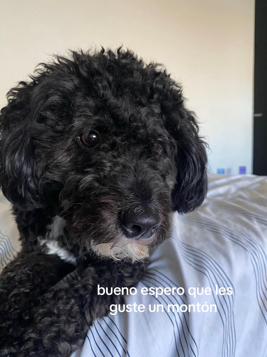 @memily