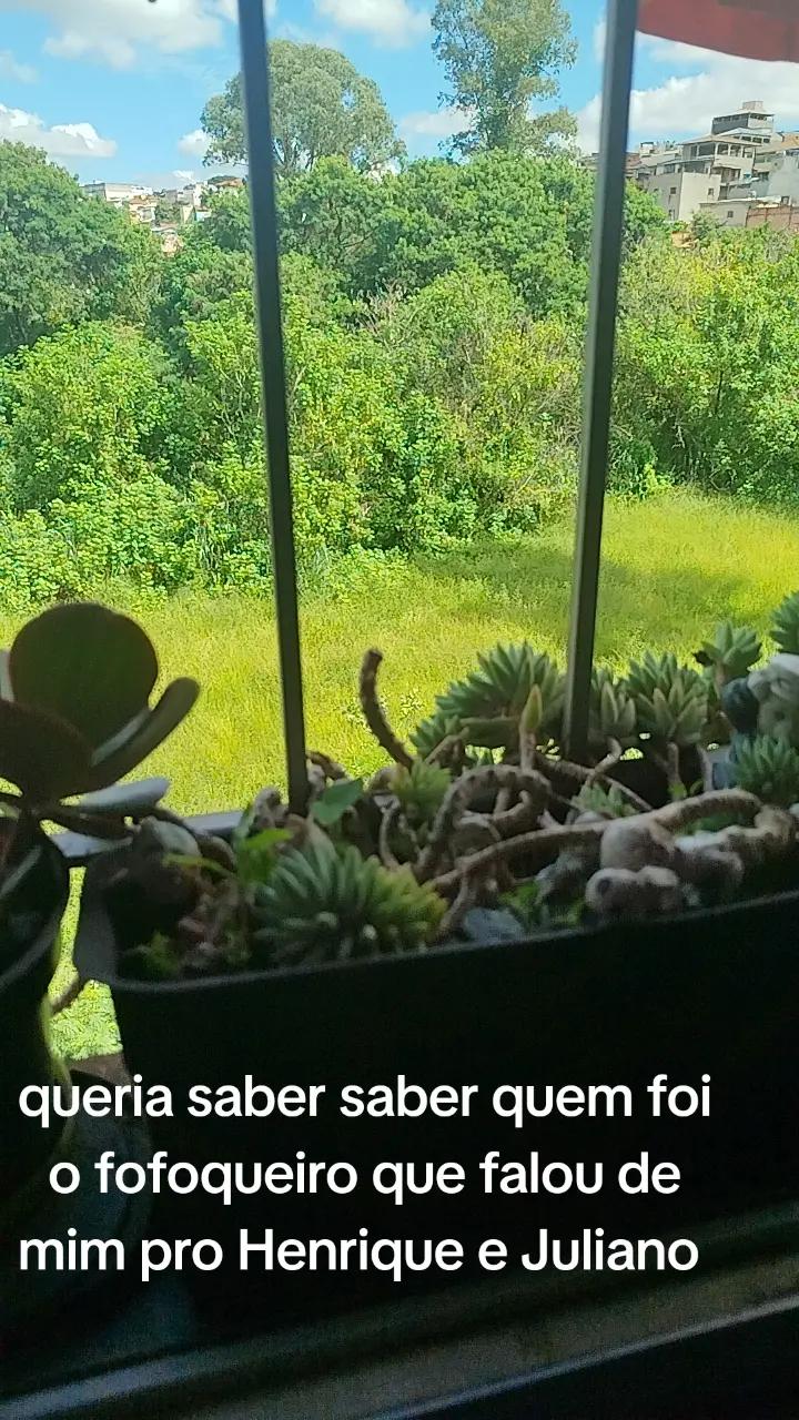 @Anal&uacute;cia