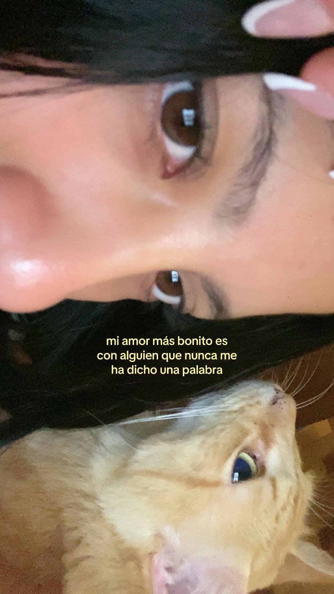 @Canelita