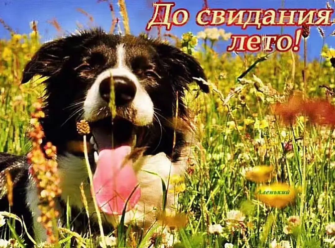 @🍦АБРИКОС🌫️[PDB] [ESSA]