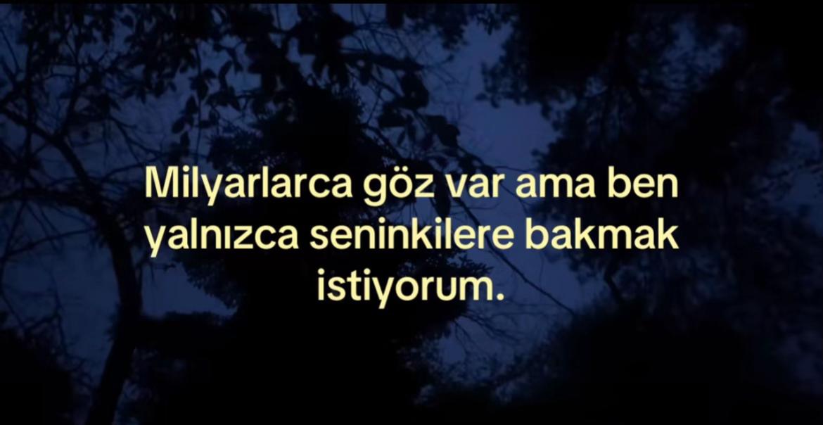 @asena