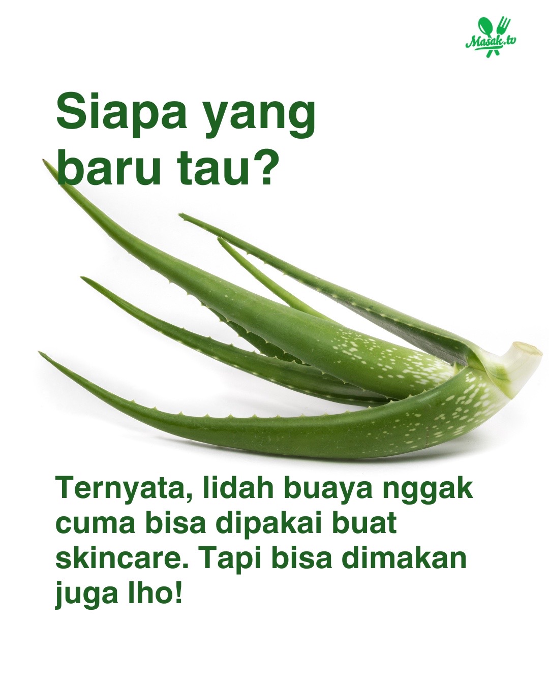 @MasakTV