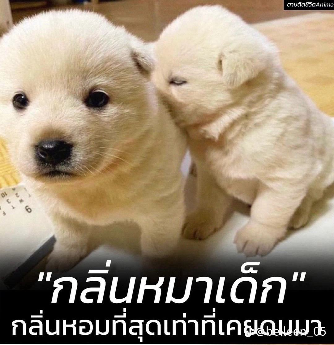 @ปรินกินเท่าไหร่ก็ไม่อิ่ม