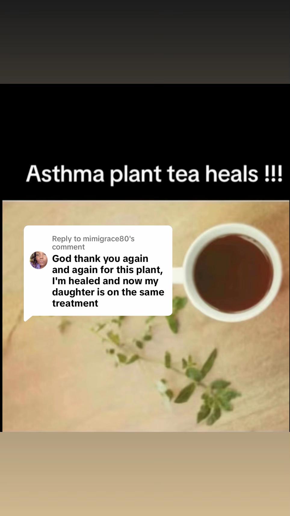 @Asthma-plant_herbalshop