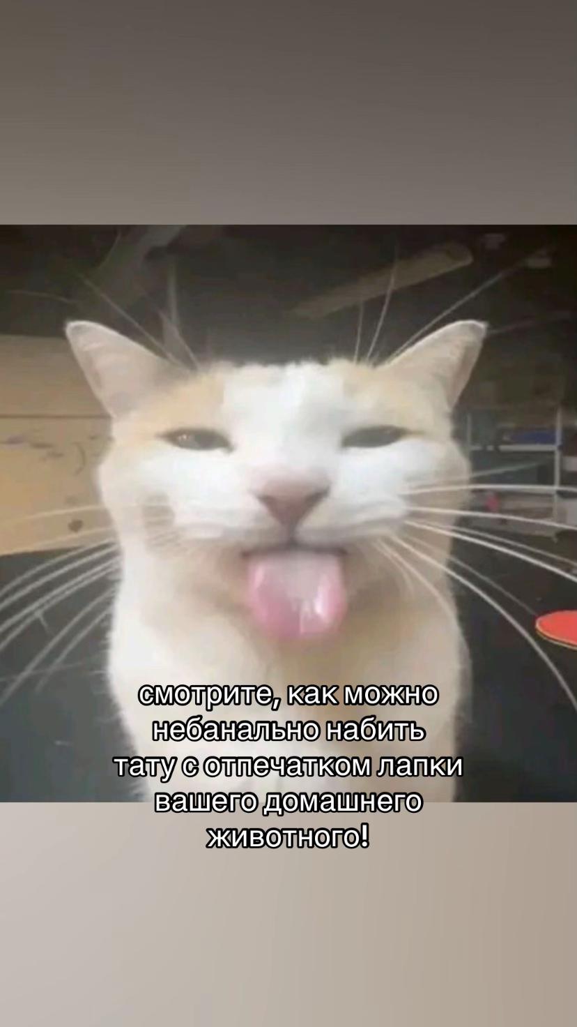 @kutatts🪡🤍