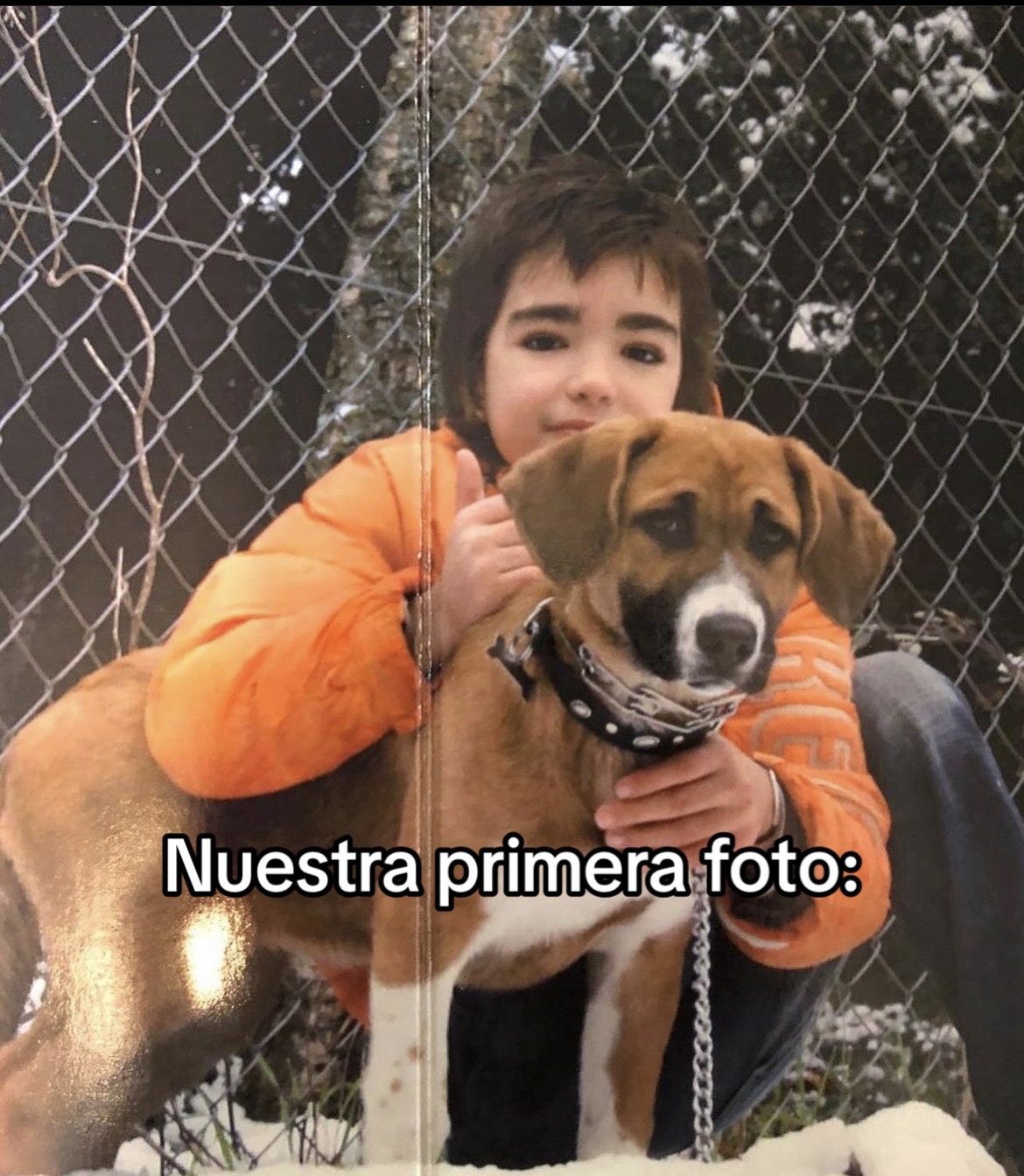 @Silvia Morell