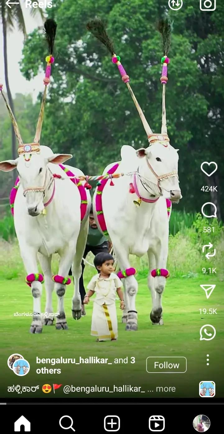 @Sayed karnatak