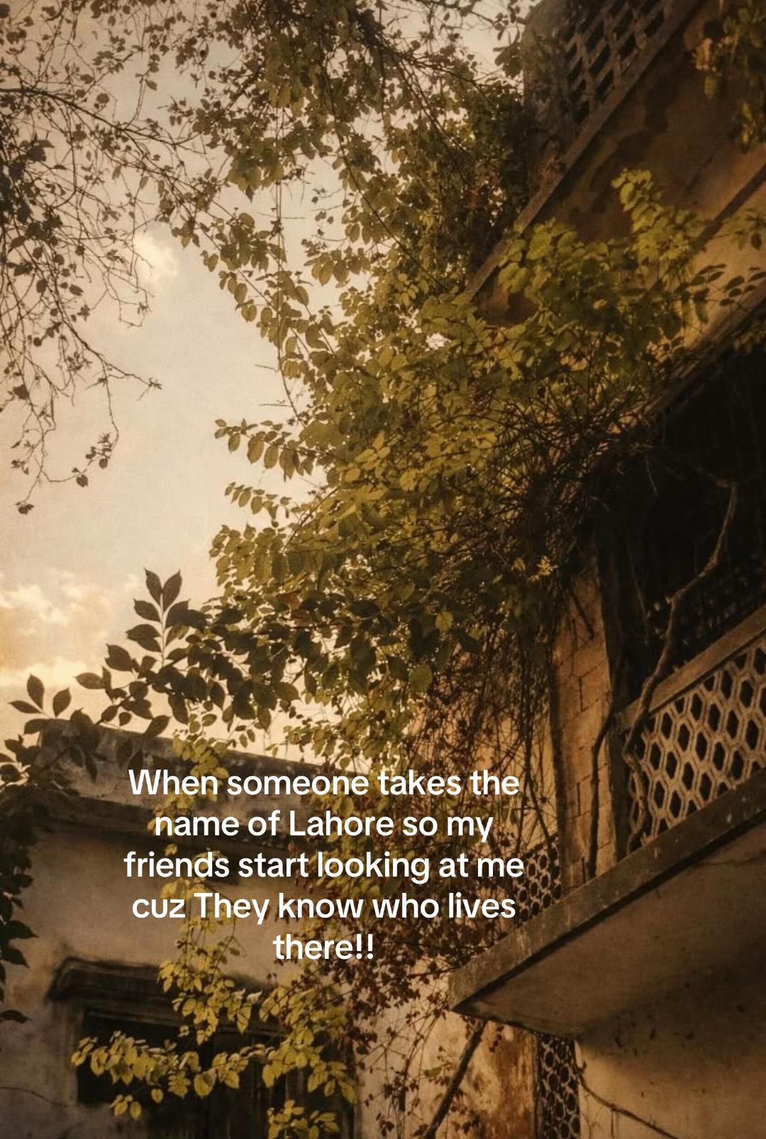 @نوفل🪐