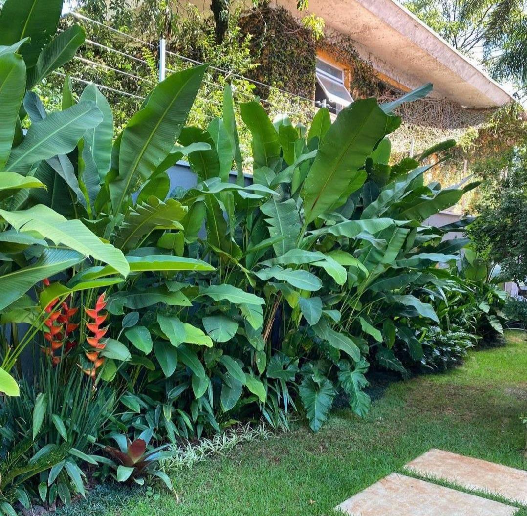 @Tiệm Lá Nhỏ