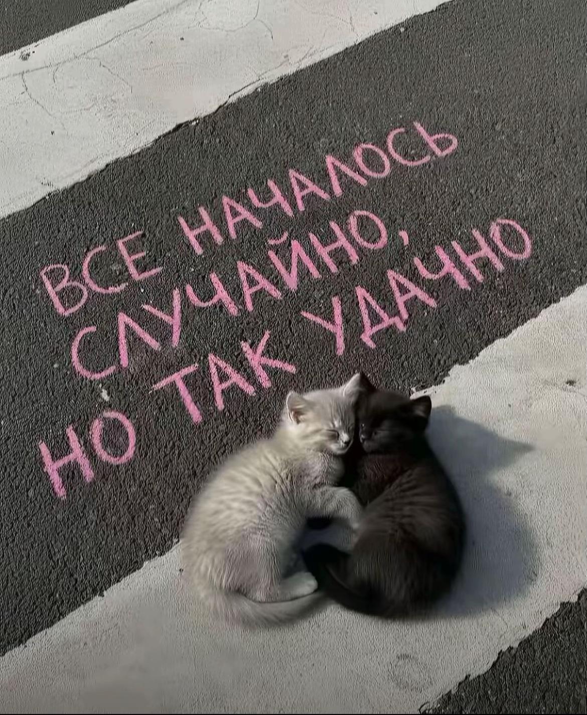 @слимова