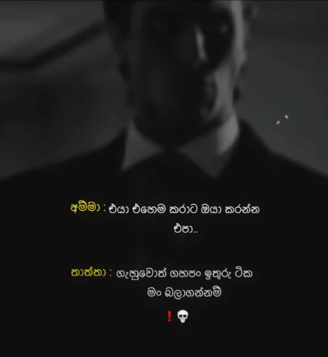 @_thima_official_