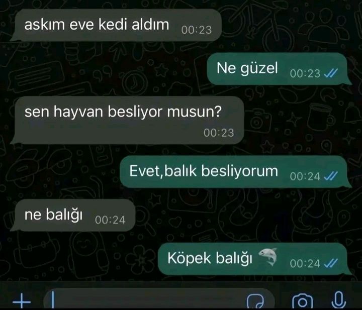 @Atak249🐊