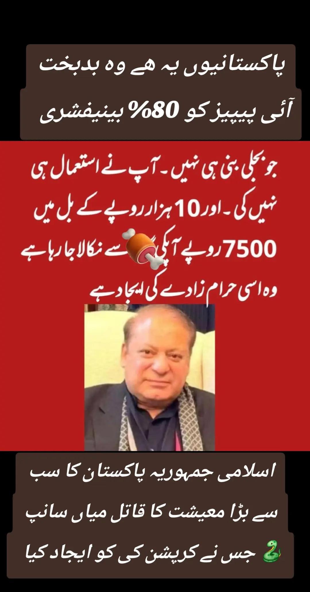 @اڈیالہ 804
