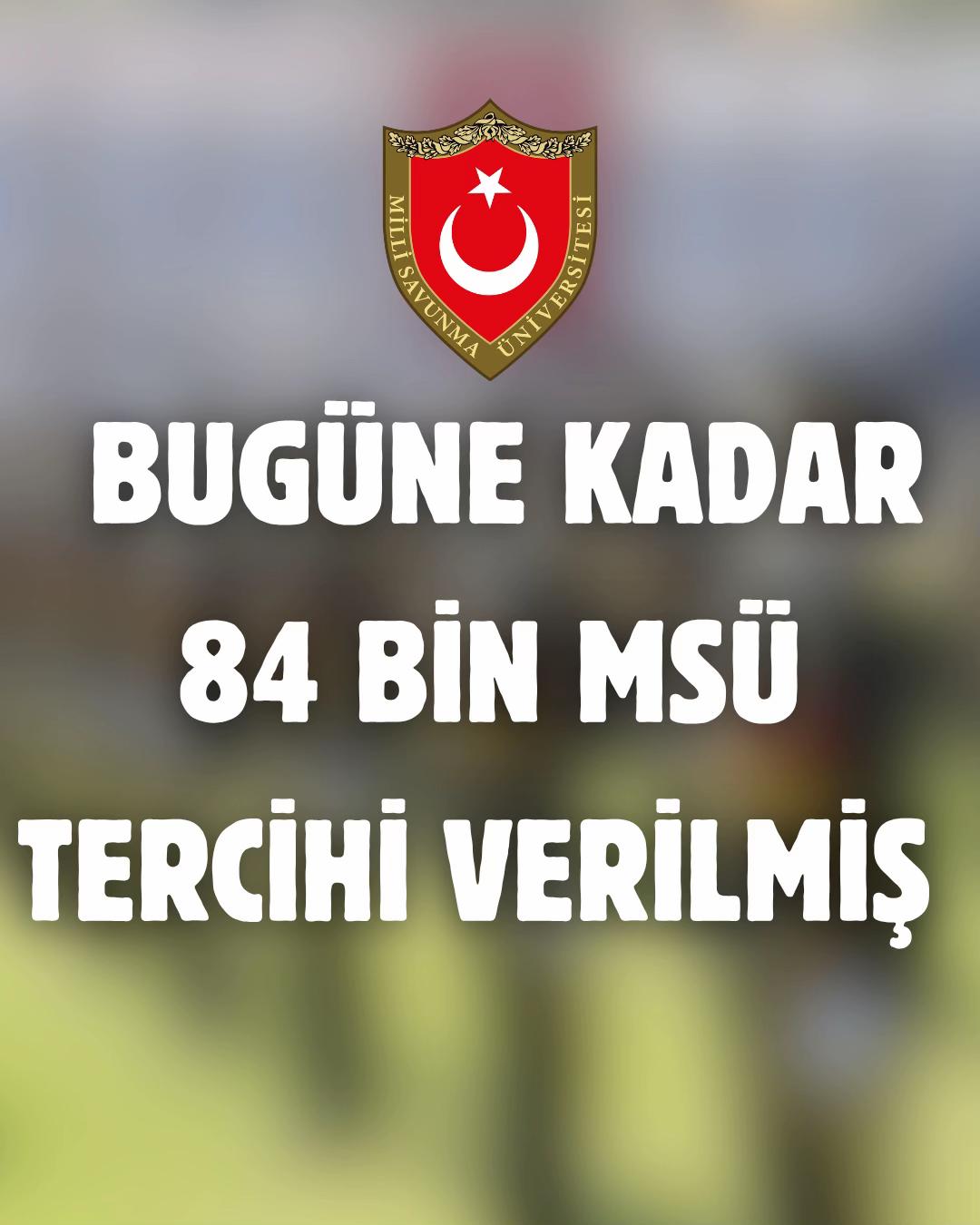@msu.rehberim
