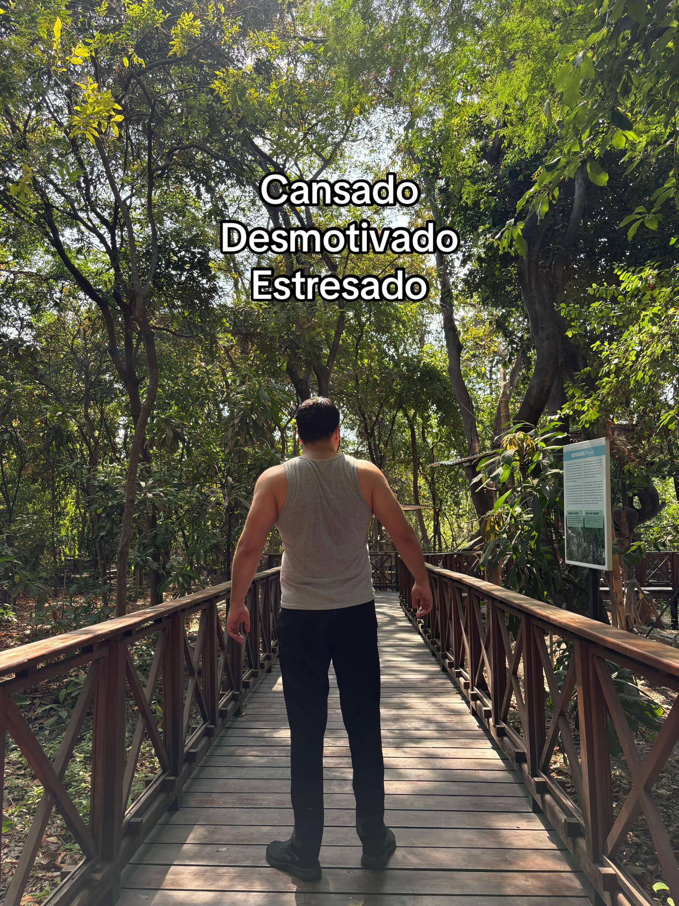 @José Antonio Rodas