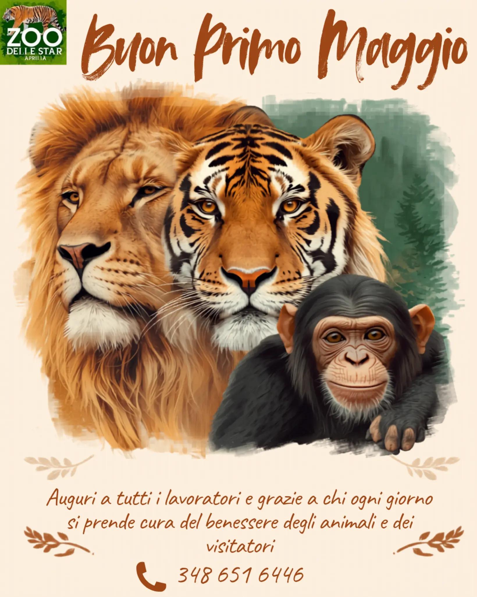 @Parco Zoo delle Star
