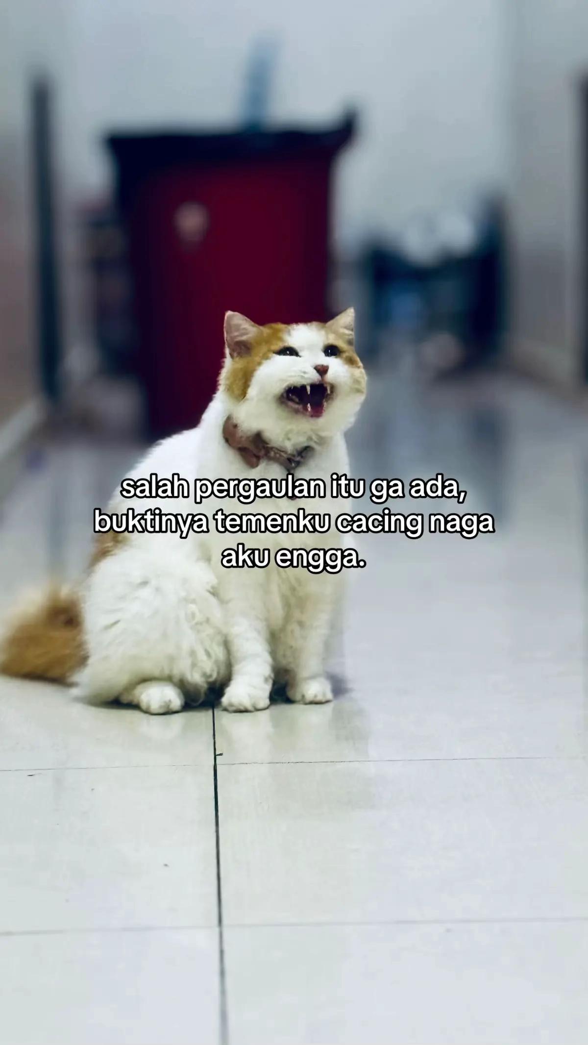 @Anchaa_47