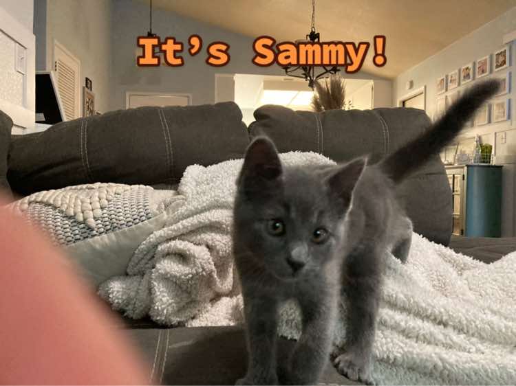 @coopersissysammy