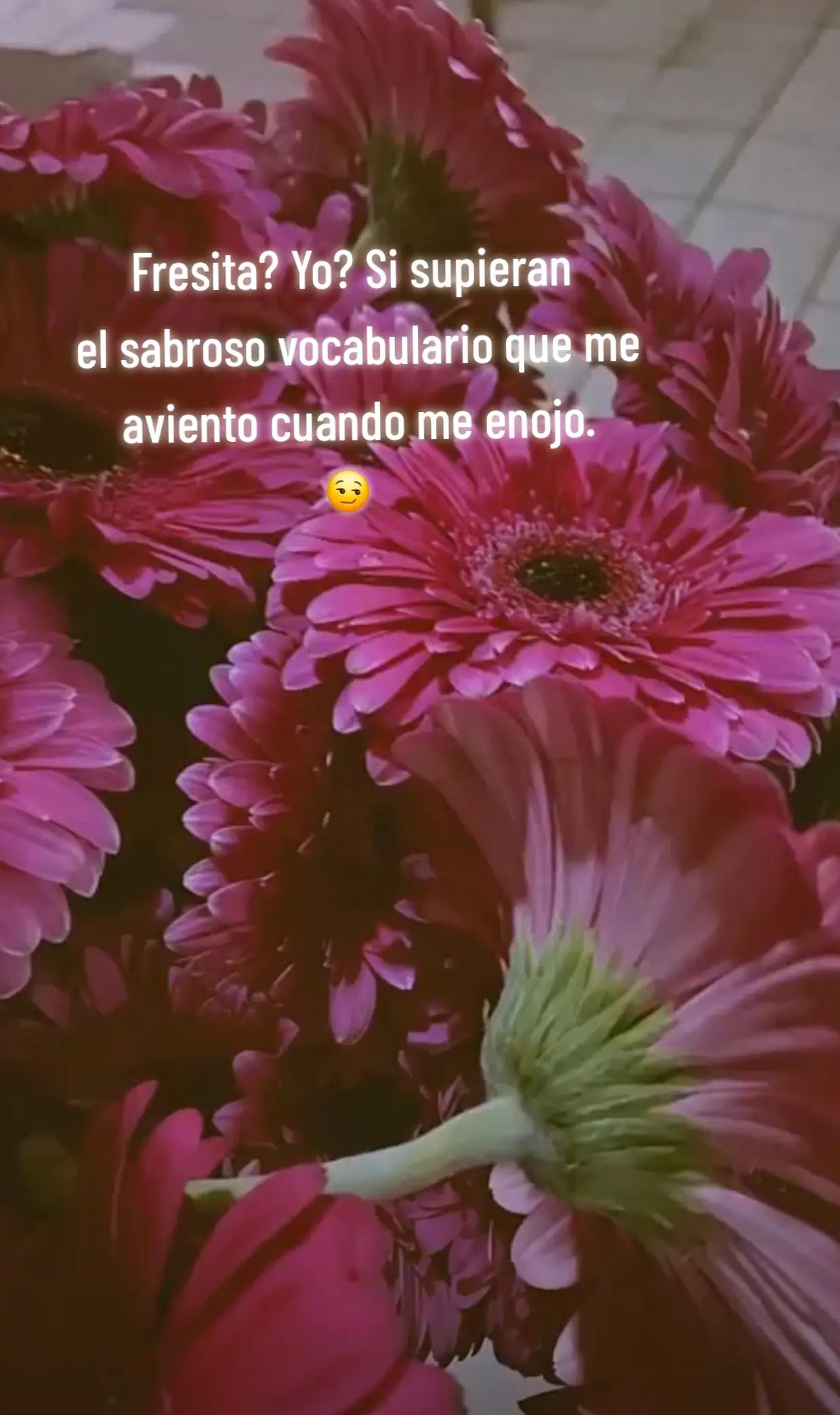 @Veronica Flores Flores