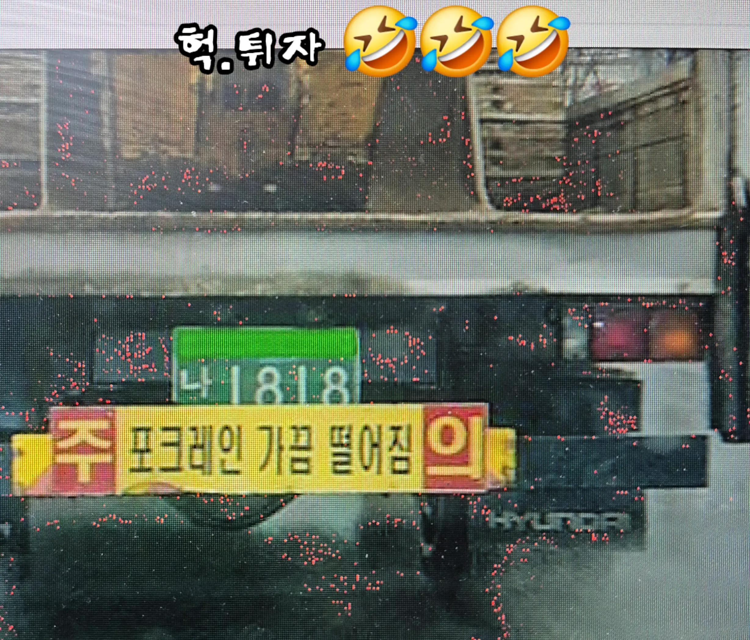 @청성인