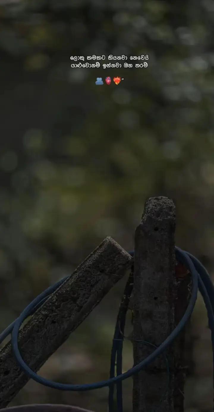 @𝑆𝑡𝑟𝑎𝑤𝑟𝑏𝑒𝑦_𝑖𝑒♡🍓<3