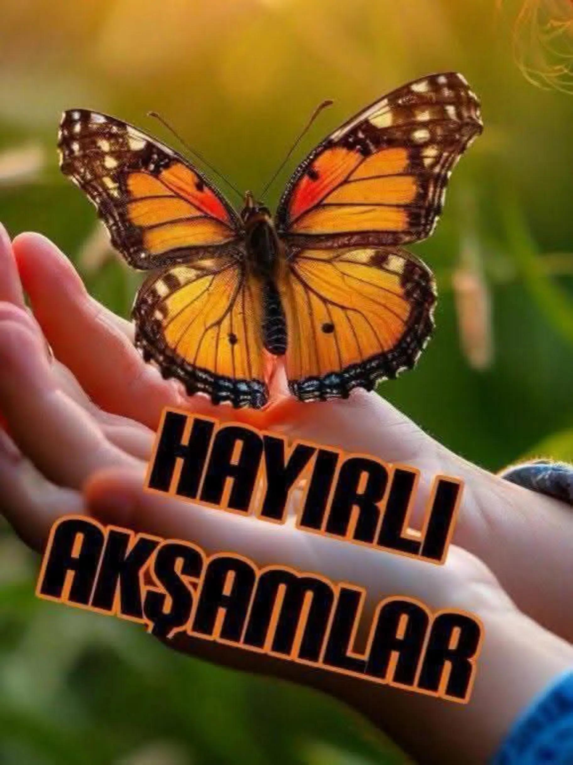 @💙LEYLA❤️ SULTAN 💙