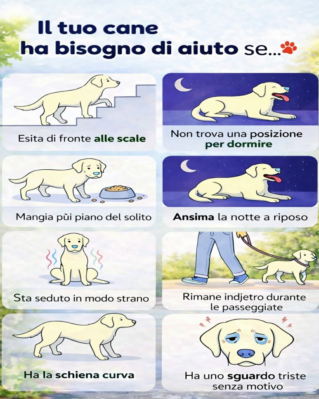 @⚠️ IL RE DEI BULLY ⚠️