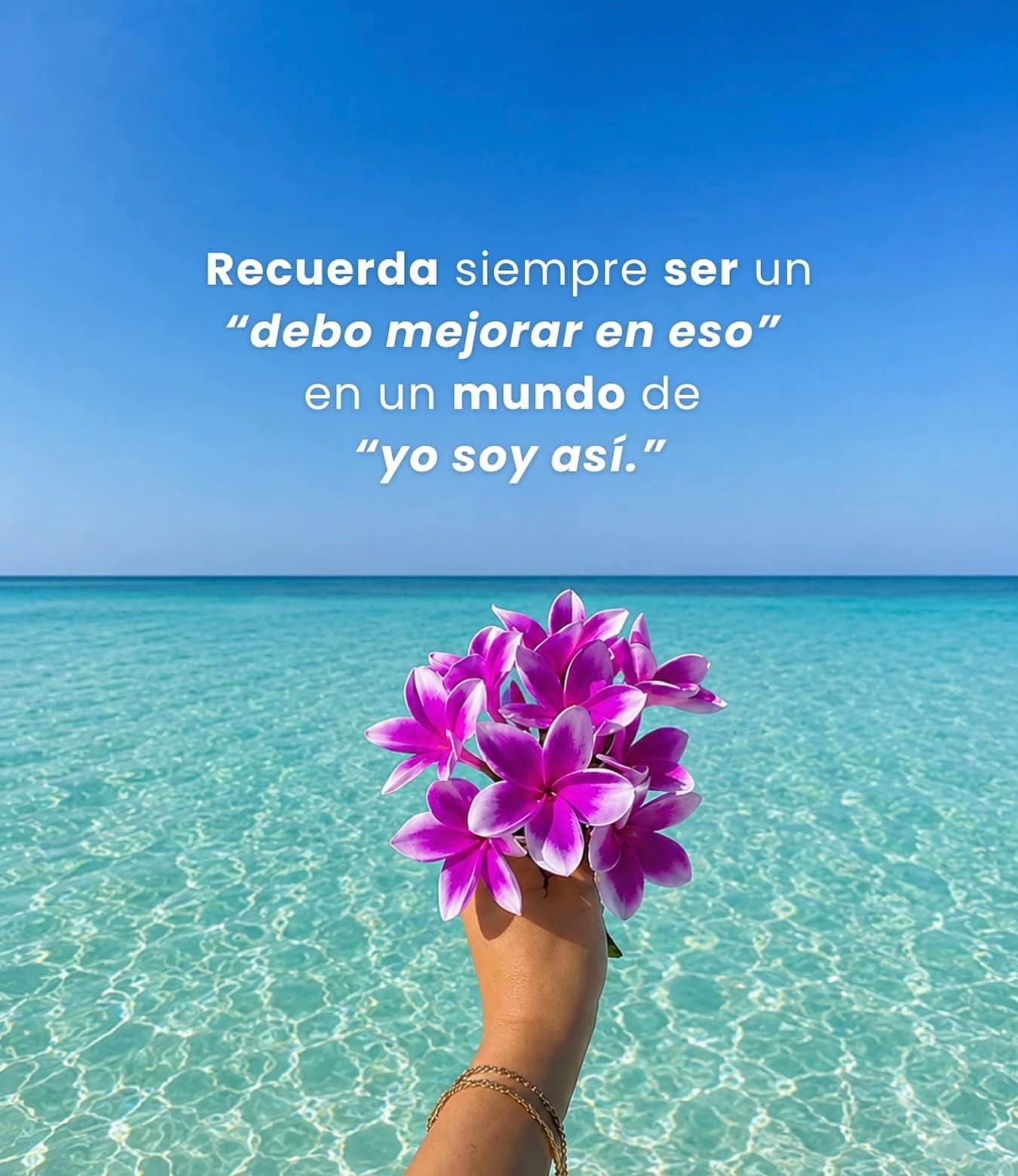 @🌻Lucía🌻