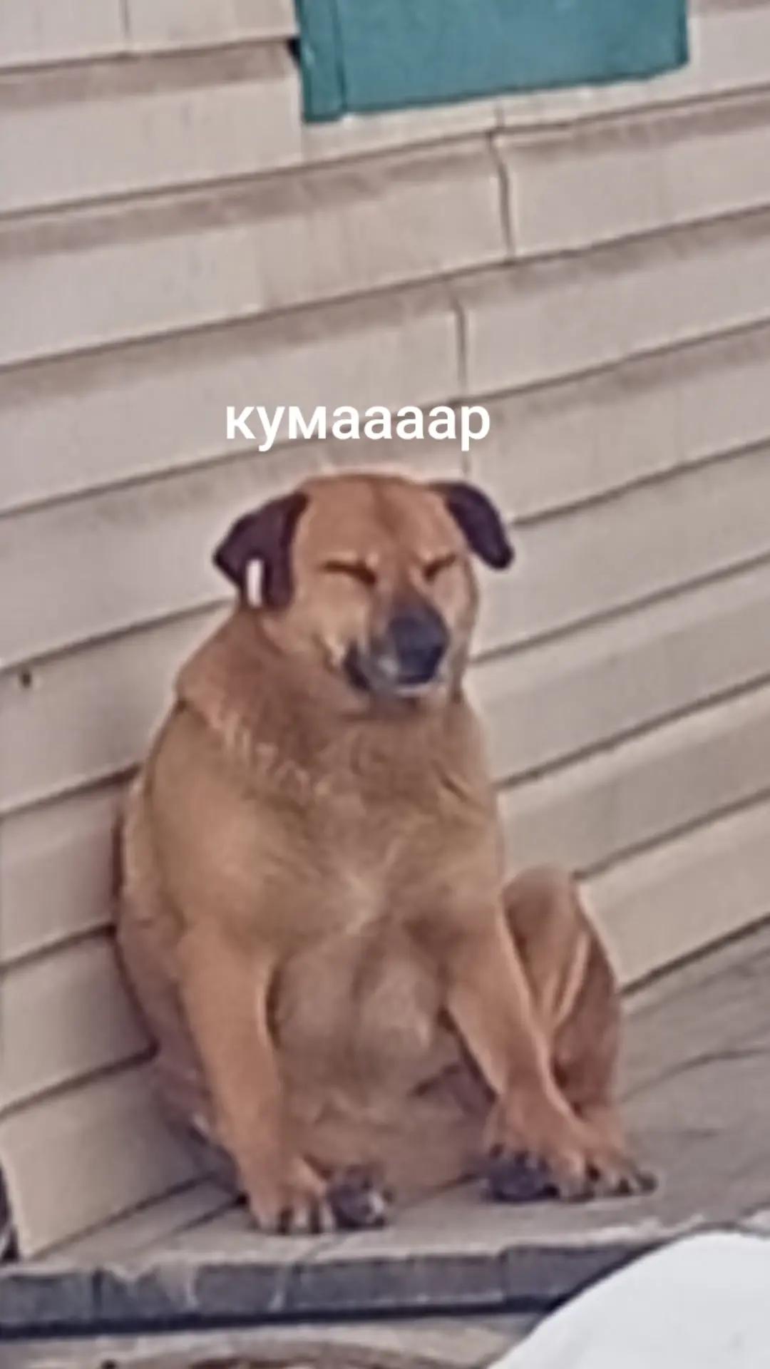 @muerte