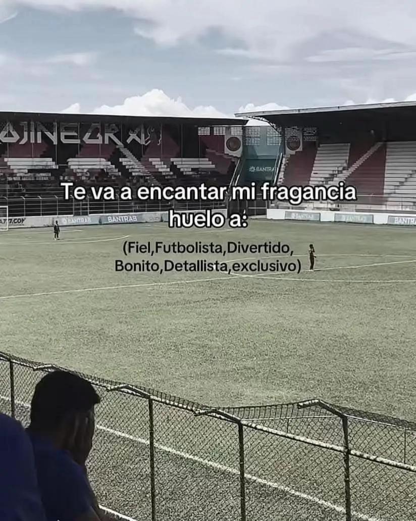 @David•Jc✍️🦥