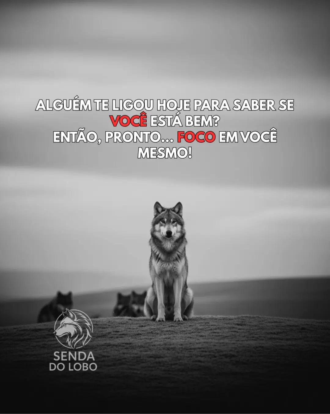@Senda do Lobo