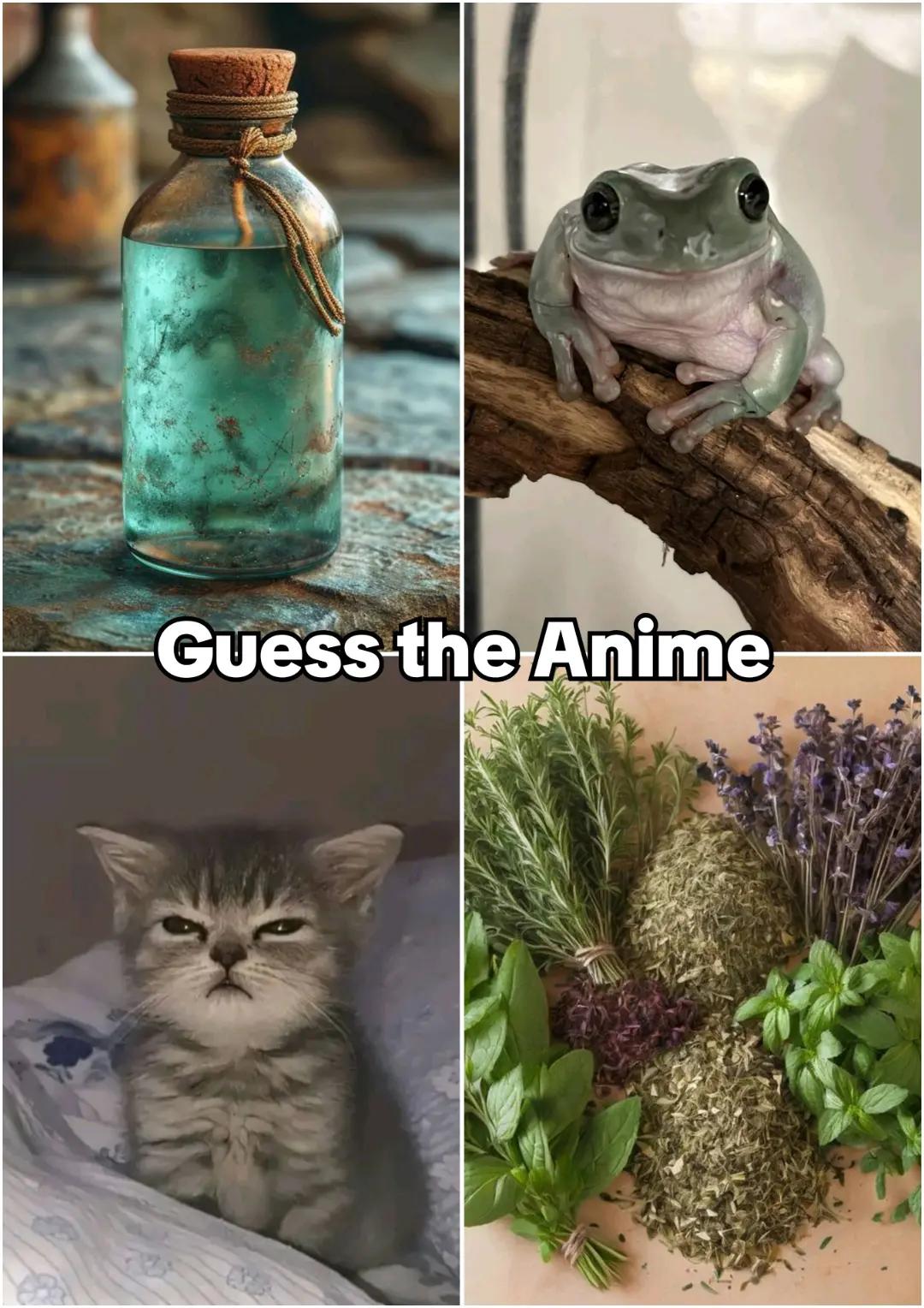 @animedweeb
