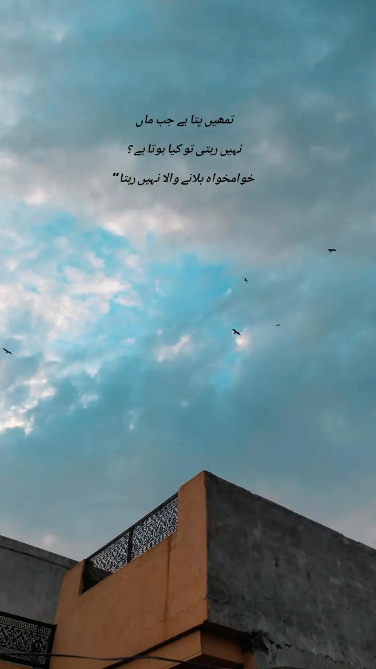 @Zeenou Khan
