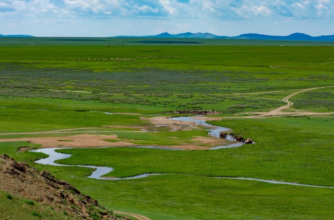 @Narmai-mongolism