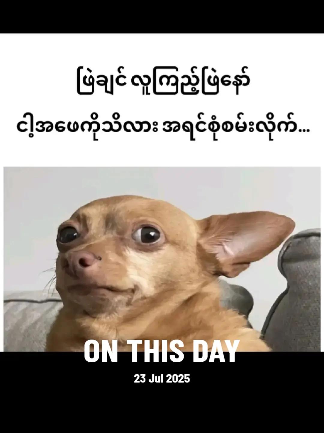@๐ฏ๐ฝ๐ ๐ด๐ถ ๐๐๐๐ แแฐแแฐแธแแฑแธ