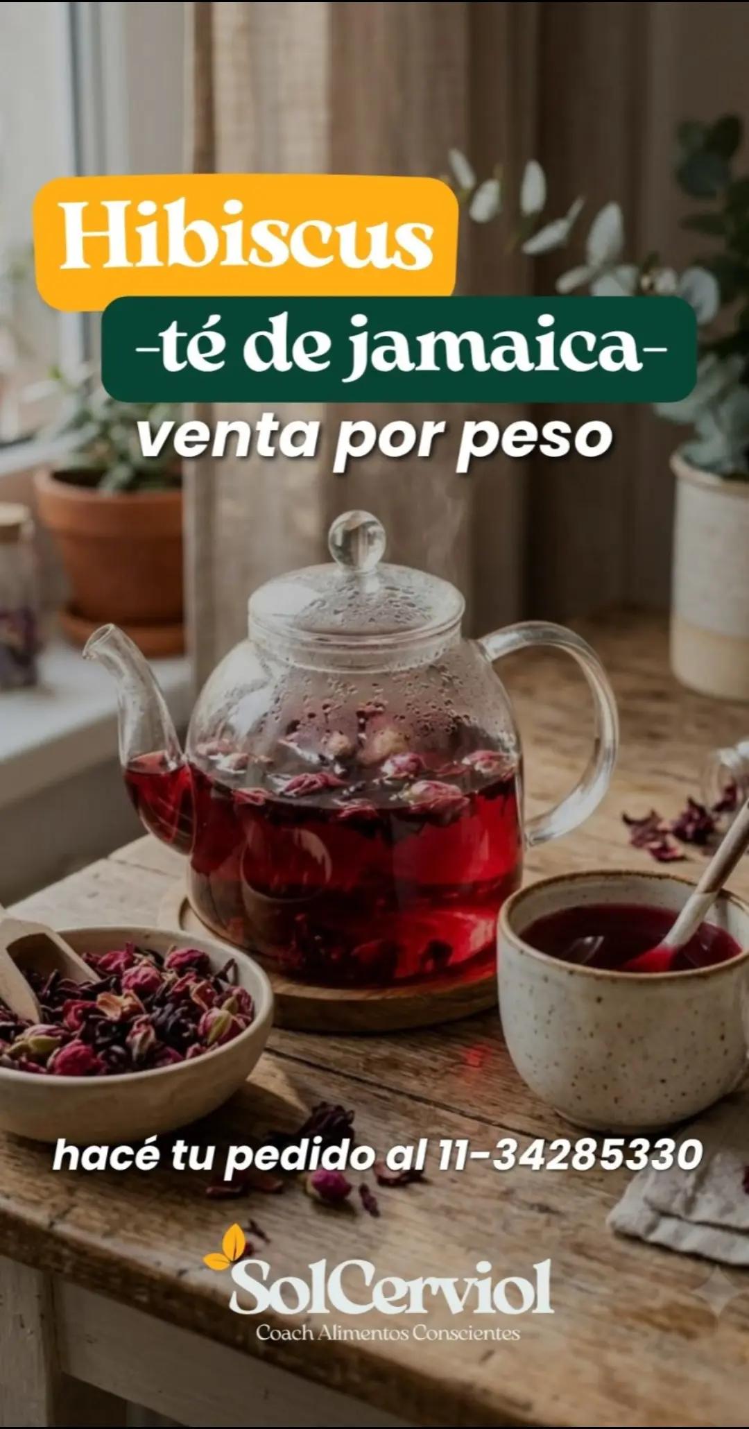 @SolCerviolcoach