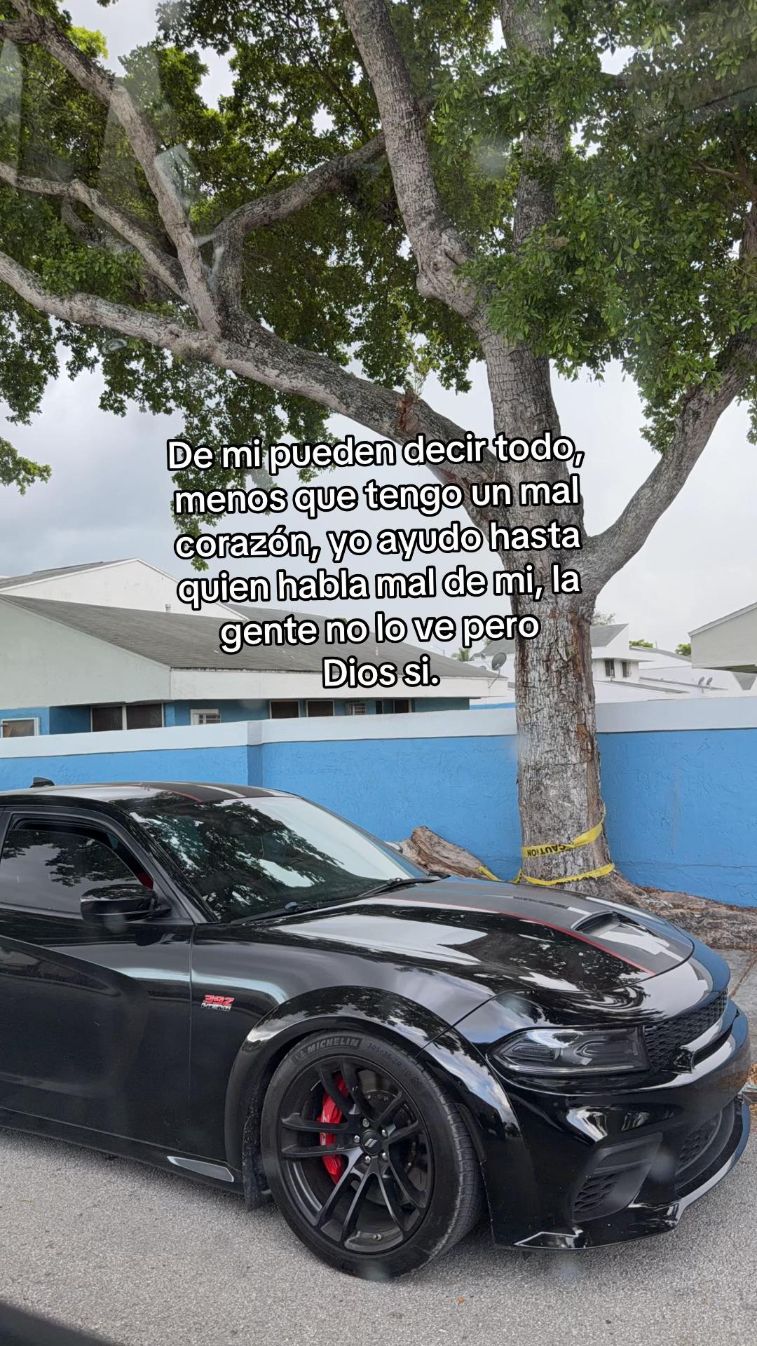 @Luis Morales