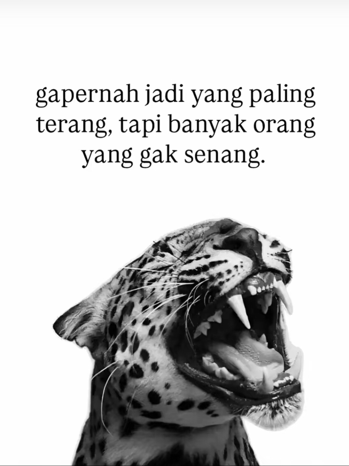 @vyylovv𐙚.