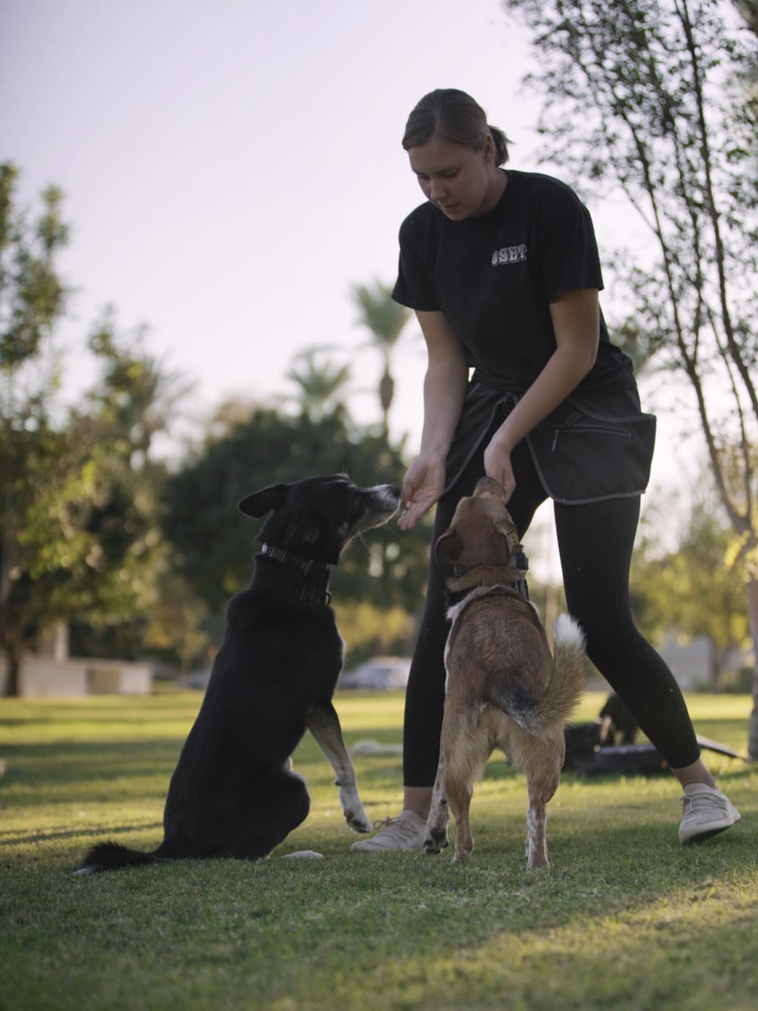 @Marissa | K9 Fitness Coach 🐾