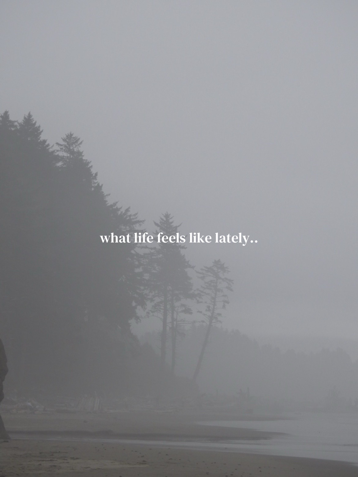 @pnw yolie &bull; 🌲☕️🌧️